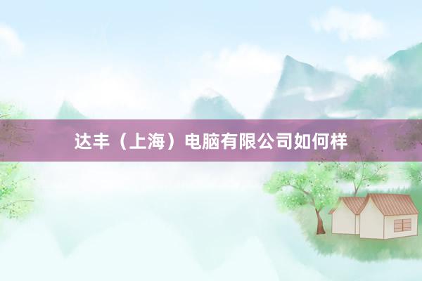达丰（上海）电脑有限公司如何样
